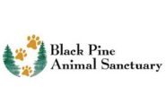 Black Pine Animal Sanctuary